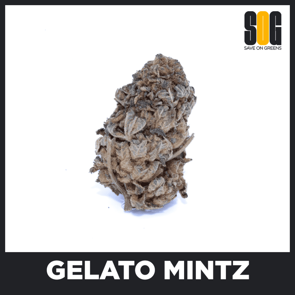 Gelato Mintz