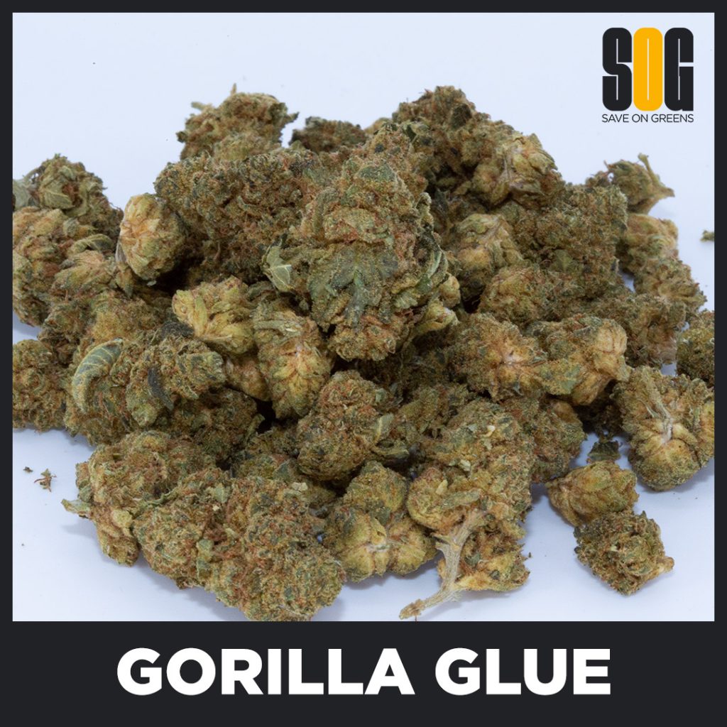 Gorilla Glue