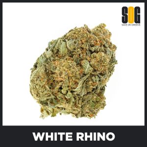 White Rhino