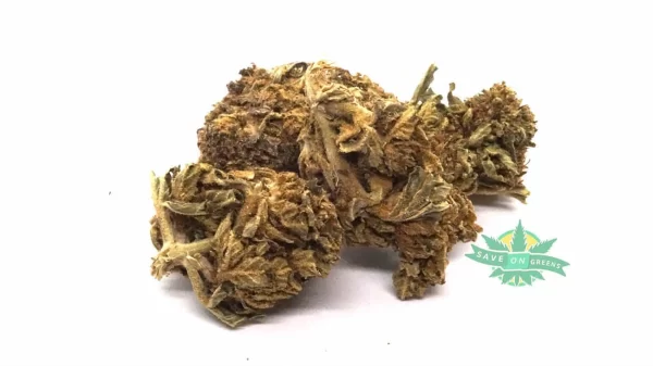 Gorilla Glue (AA) - GREENHOUSE SPECIAL - Image 2