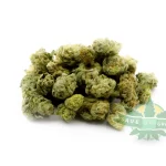Mimosa Popcorn (AA)