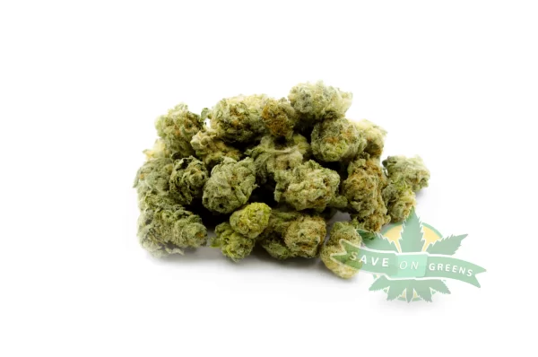 Mimosa Popcorn (AA)