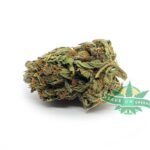 Apricot Kush (AA)