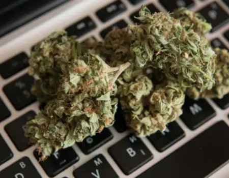 ONLINE DISPENSARIES