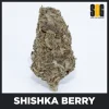 Shishka Berry (AA)