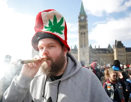 THINGS TO DO RELATED TO CANNABIS