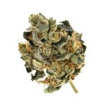 Purple Kush Breath (AA+)