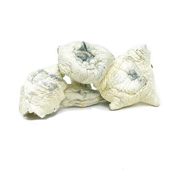 Albino A+ Magic Mushrooms - Image 2