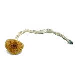 Blue Pulaski Magic Mushrooms