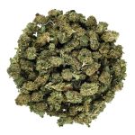 Gelato 41 (AA+)