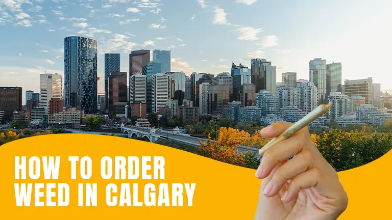 How to order buds