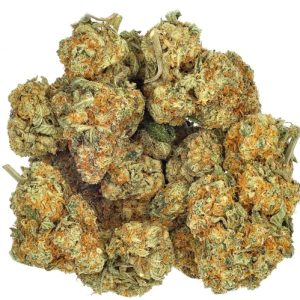 Miracle Alien Cookies
