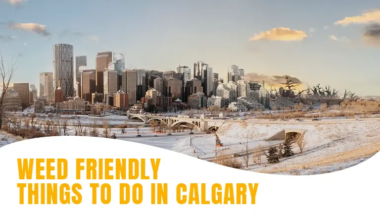 What are weed friendly things to do in Calgary ?