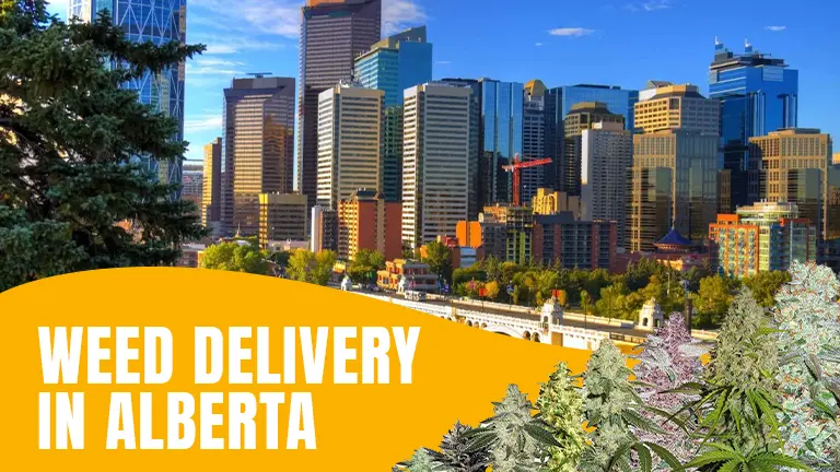 Alberta mail weed delivery