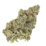 Whoa-si-whoa (AAAA+)